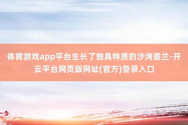 体育游戏app平台生长了独具特质的沙湾墨兰-开云平台网页版网址(官方)登录入口