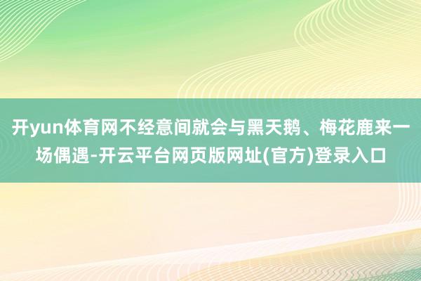 开yun体育网不经意间就会与黑天鹅、梅花鹿来一场偶遇-开云平台网页版网址(官方)登录入口