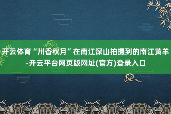 开云体育“川香秋月”在南江深山拍摄到的南江黄羊-开云平台网页版网址(官方)登录入口